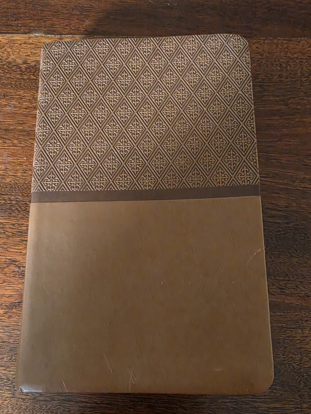 NIV ReadEasy Bible Tan